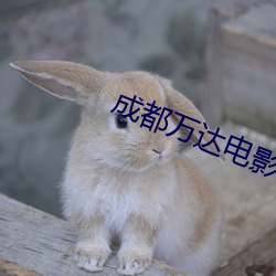 成都万达电影院影讯