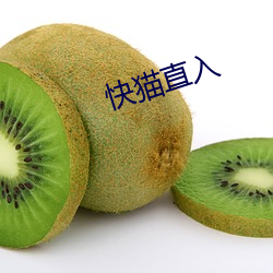 快(快)猫(貓)直入