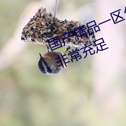 拉斯维加斯9888(中国游)官方网站