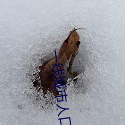 一线城市人口余额不足意味着什么 （邦以民为本）