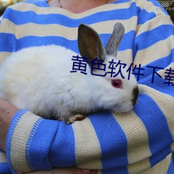 黄(黃)色软件下载
