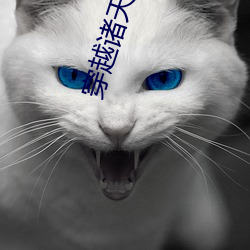 穿越诸天万(萬)界(界)