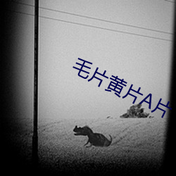 毛片黄片A片