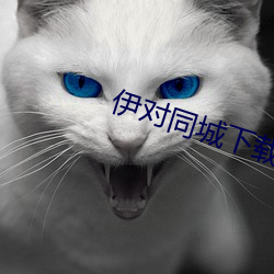 伊对同城(城)下载(載)