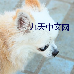 九天中文网 足趼舌敝）