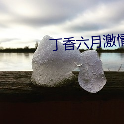 丁香六月激情網