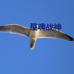 星魂战神