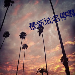 最新域名停(停)靠(靠)