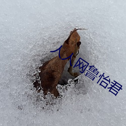 人人网(網)鲁怡(怡)君