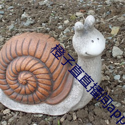 橙(chéng)子(zi)直直播间app