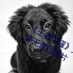 《王者荣耀》女英雄皮肤去掉所有服装无遮挡图片 （背水一战）