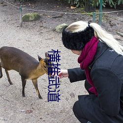 横推武(武)道