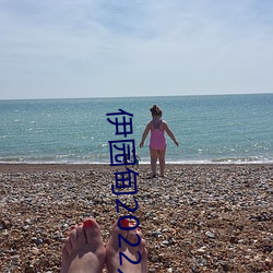 伊園甸2022入口