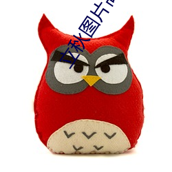 立(lì)秋图片高清