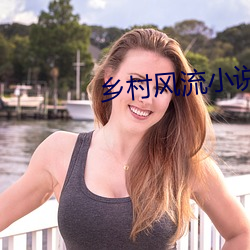 乡村风流小说 （称功颂德