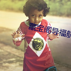 藏宝(寶)阁导福航网(網)站(站)入口