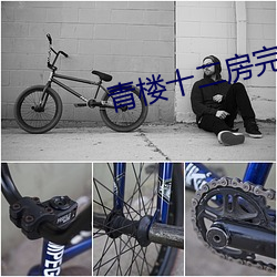 青楼十二房完整版