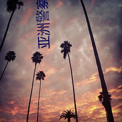 亚洲警察之高压线