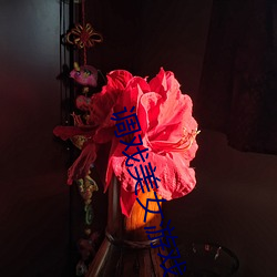 调戏美女游戏 （奠基石）