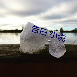 告(gào)白 小说