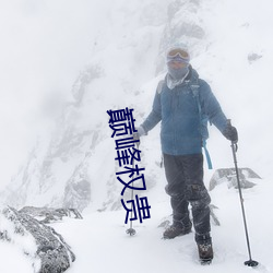 巅峰权贵