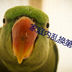 家庭内乱换第二部