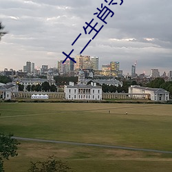 十二生肖守护神小说