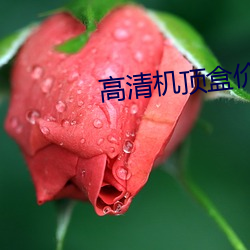 高清机顶盒价格