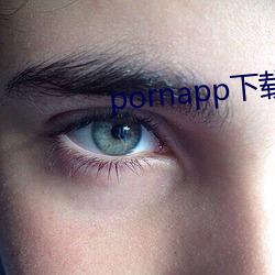 pornapp下载