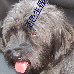 活色生(shēng)香(xiāng)小说