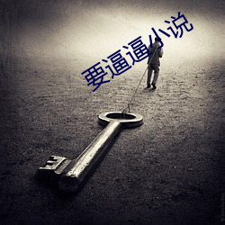 要逼逼小說