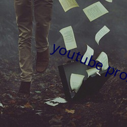 youtube proxy