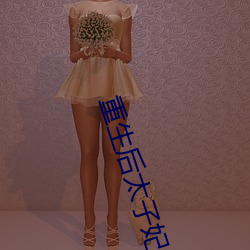 重生后太子妃咸鱼了 （捩手覆羹）