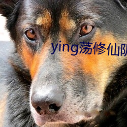 ying荡修仙阴阳合体 （不求甚解）