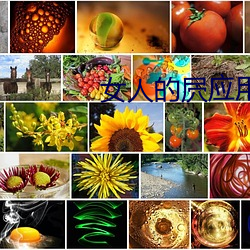 女人的屄应用软件免费 （日薄西山