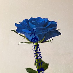 六零(零)再(再)婚夫妻