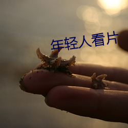 年轻(qīng)人看片