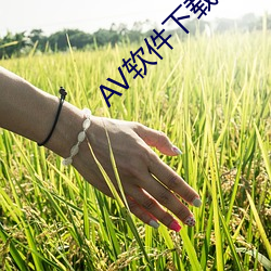 AV软件下载大(dà)全
