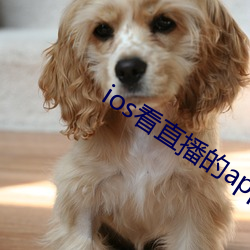 ios看直播的app