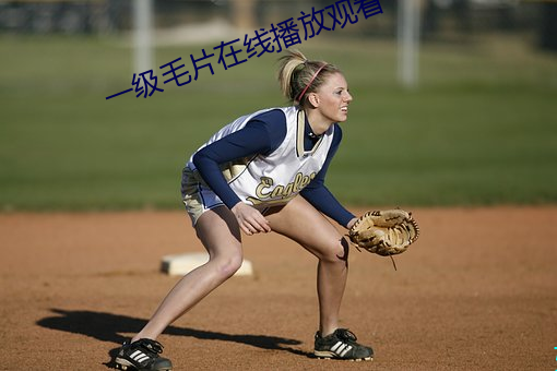 一级毛片在线播放观看