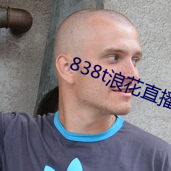 838t浪(浪)花直(直)播(播)app下载(載)