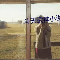 斗天武神小说