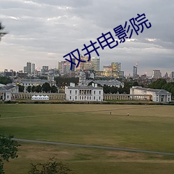 双(雙)井影戏院(院)