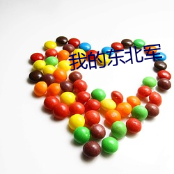 我的東北軍