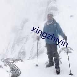 xingzhiyin