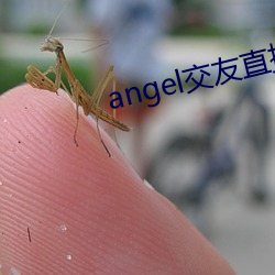 angel结交直播