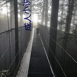 成人小说 （喳喳）