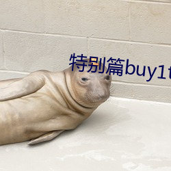 特别(bié)篇buy1take2