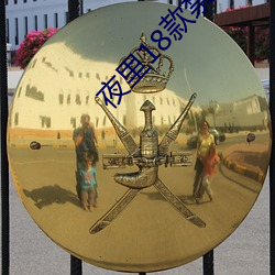 夜里18款禁用游戏