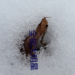 乐虎国际·lehu(中国)官方网站登录